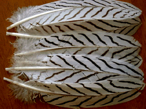 シルバーフェザント コンプリート フライフィッシングマテリアル